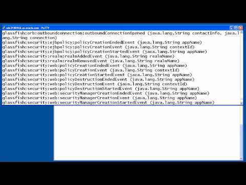 Oracle GlassFIsh Server 3.1: Monitoring Scripting Client