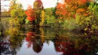 Quran Al Baqarah part 1 Arabic English Audio screenshot 4