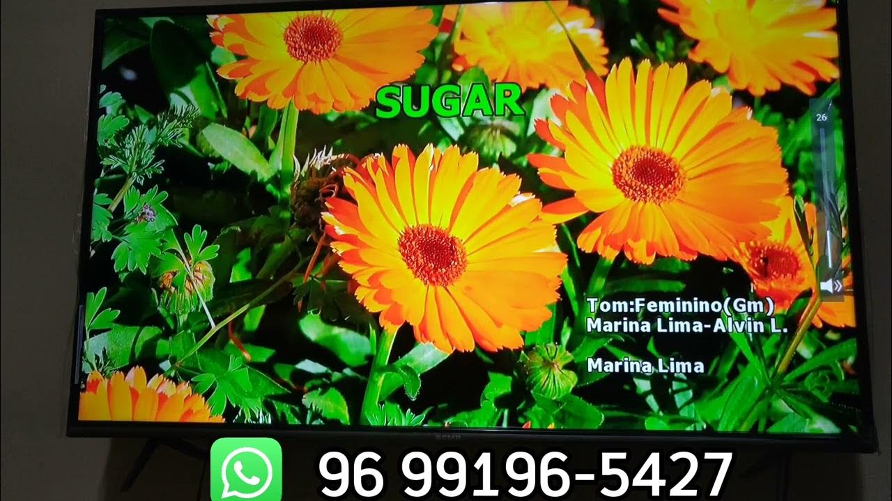 Karaokê KAOKE aplicativo de karaokê para seu TVBox e Android TV