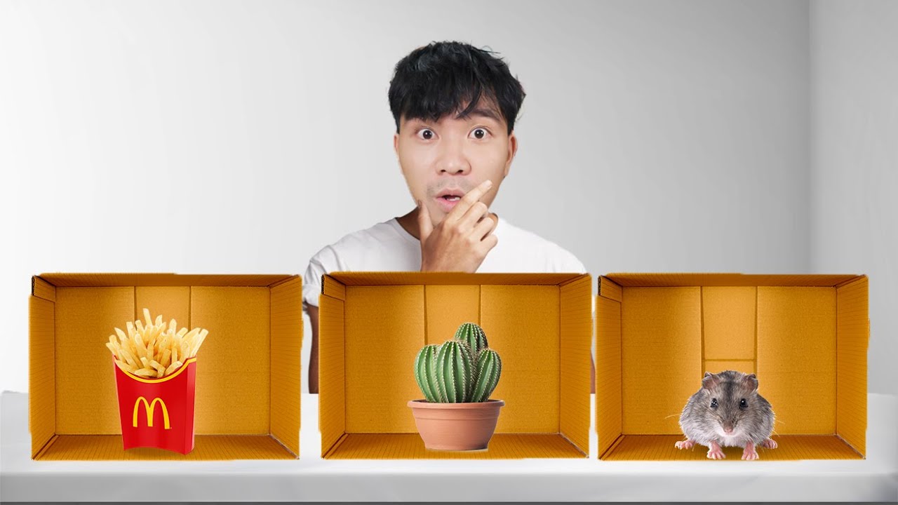 PHD - Chọn Đúng Hộp Quà Để Tồn Tại