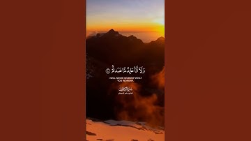 سورة الكافرون # ماهر المعيقلي #تلاوة_خاشعة  @SaudiQuranTv @أجملتلاواتالقرآنالكريم-ض8ظ @تلاوةواذكارواحاديث