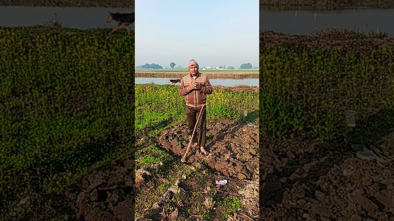 Ham Tumko Nigahon Mein