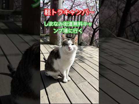 軽トラキャンパーしまなみ海道無料キャンプ場に行く。#軽トラキャンピングカー #車中泊 #旅