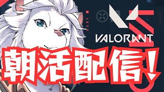【VALORANT】(JP/EN)朝活！🦁twitchと同時配信中！