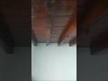 Trabalho de Pintura em um quarto #fy  #fypシ゚viral #construção