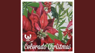 Video thumbnail of "LNJ Sessions - Colorado Christmas"