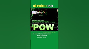 Cổ phiếu T+, POW, Tổng Công ty Điện lực Dầu khí Việt Nam