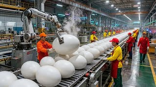 Inside the Factory That Turns 1.3 Billion Eggs Into Liquid Egg Products Every Year