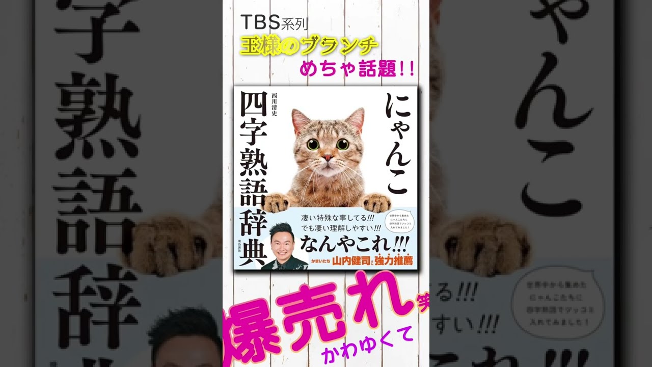 19万部突破 Tbs 王様のブランチ 話題 にゃんこ四字熟語辞典 ねこ好き かまいたち 山内健二 さんも大絶賛 Youtube