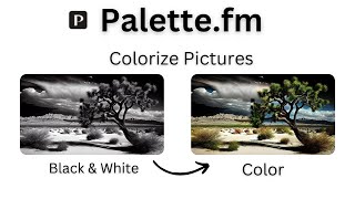Instantly Add Color to Photos with Palette.fm's AI - Quick Demo! screenshot 3