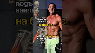 Как прокачать бицепс дома точно и без ошибок: подъем гантелей с упором #домашниетренировки