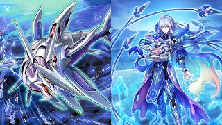 Shark Vs Tearlaments FS Kashtira Post BLGG
