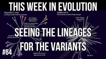 TWiEVO 64: Seeing the lineages for the variants