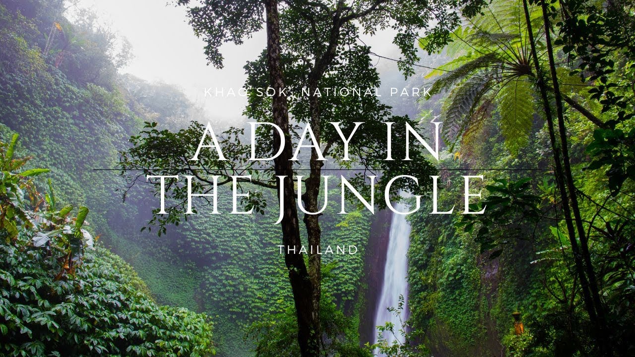 What a day in the Thai jungle looks like! Bamboo coffee in Khao Sok National Park