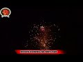 DFC0810 0.8" INCHES 100 SHOTS CAKE/PROFESSION FIREWORKS/DISPLAY CAKE FIREWORKS/1.3G FIREWORKS/