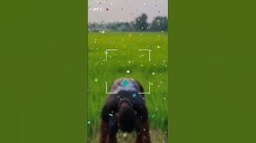 Jai shree Krishna #viral #youtubeshorts #shorts #song