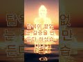 채울수록 더 허전해집니다 #마음공부 #명언 #자기수행 #깨달음 #좋은글 #인생조언 #깊은치유 #음성법공양 #붓다의가르침