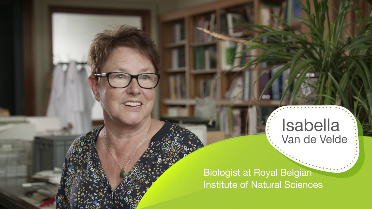 BIOTALENT - Blended e-learning biodiversity training programme