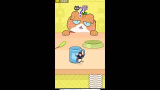 猫にみつかるな🐈　#shortsfeed