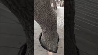 팔각정에서 쉬었다 가세요