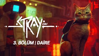 Stray 3. Bölüm - Daire