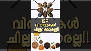   chiaseeds pumpkinseeds flaxseed malayalam health foodcooking