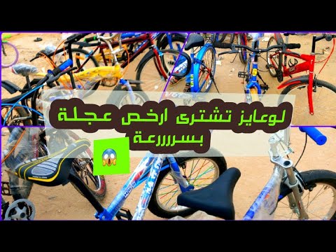 اقوى أنواع العجل فى سوق الجمعة