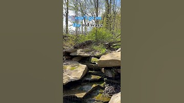 The #Tao #explorewithkim #change #lettinggo #radicalspirituality #rev_kim_love