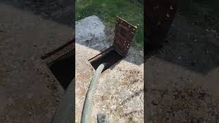 #szambo #scary #wtorek #automobile #smartphone #snake