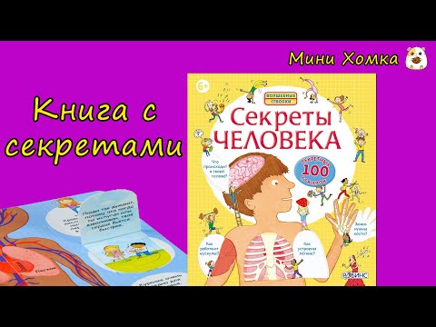 Обзор книги "Секреты человека" издательства "Робинс" (книга с окошками)