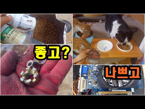 타우린,<strong>엘라이신</strong>,너트찾고,만똘,백수컴보드,캔먹