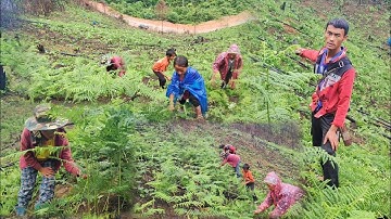 mu luaj teb qos ntoos os ep235; 7/6/2023