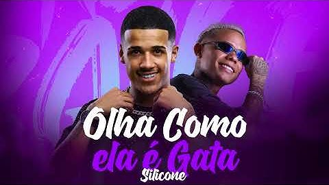 Thumbnail of Olha Como Ela é Gata | Silicone | Mc Arizinho & Dj Tak Vadião (AUDIO OFICIAL) Doug Hits Produtora