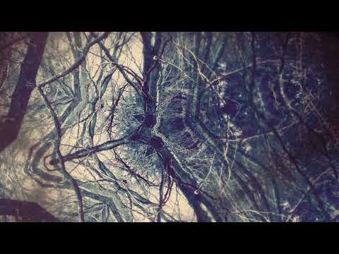 CausaliDox - A Slight Reduction