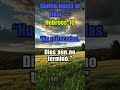 No retrocedas — Confía hasta el final | Hebreos 10 #confianzaendios #esperanza #amor