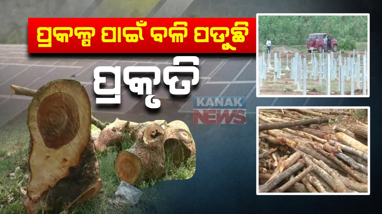 balangir-solar-power-plant-built-by-destroy-the-natural-environment