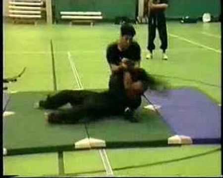 Grand Master Haim Gidon Of The Israeli Krav Maga