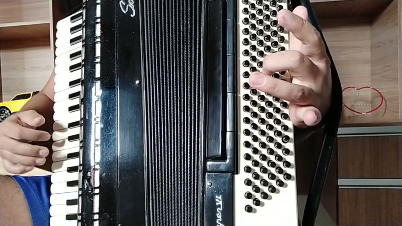 Aprenda as frases que mais uso no baixo da sanfona durante as músicas