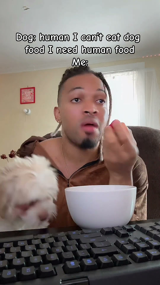 dog-only-eats-human-food-youtube