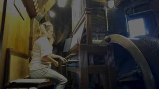 Guitar-Music On Carillon Etude No. 3, Op. 60 Matteo Carci On Carillon Gouda