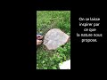 Tuto landart rapide