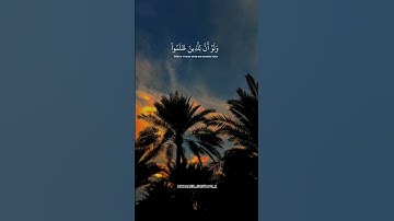 سورة الزمر 🧡🍁 #سورة_الزمر #ماهر_المعيقلي #القرآن_الكريم #قرآن #fypシ #viral #quran #fyp #islam