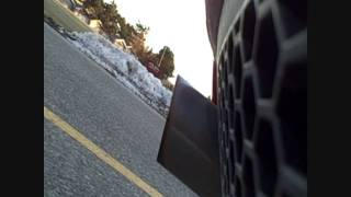 SVT Focus w/ Borla Exhaust