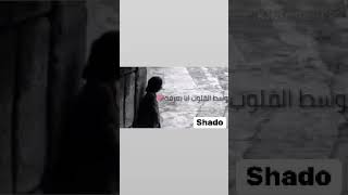 محمد منير صوتك وسط القلوب حالات واتس Mp3