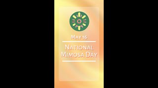 Celebrate National Mimosa Day in Style!