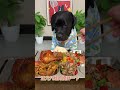#How greedy are Labradors?#Dogs eating#Living worse than a dog series#When you have a greedy
