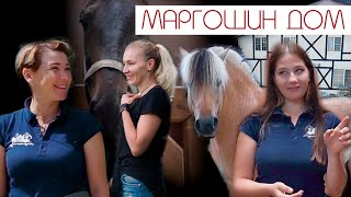 видео: HORSE Обзор №3 картинка: HORSE Обзор №3