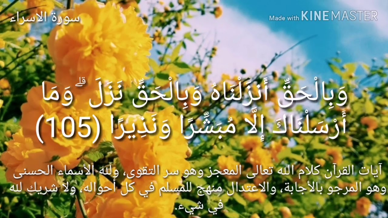 آيات من القرآن الكريم - YouTube