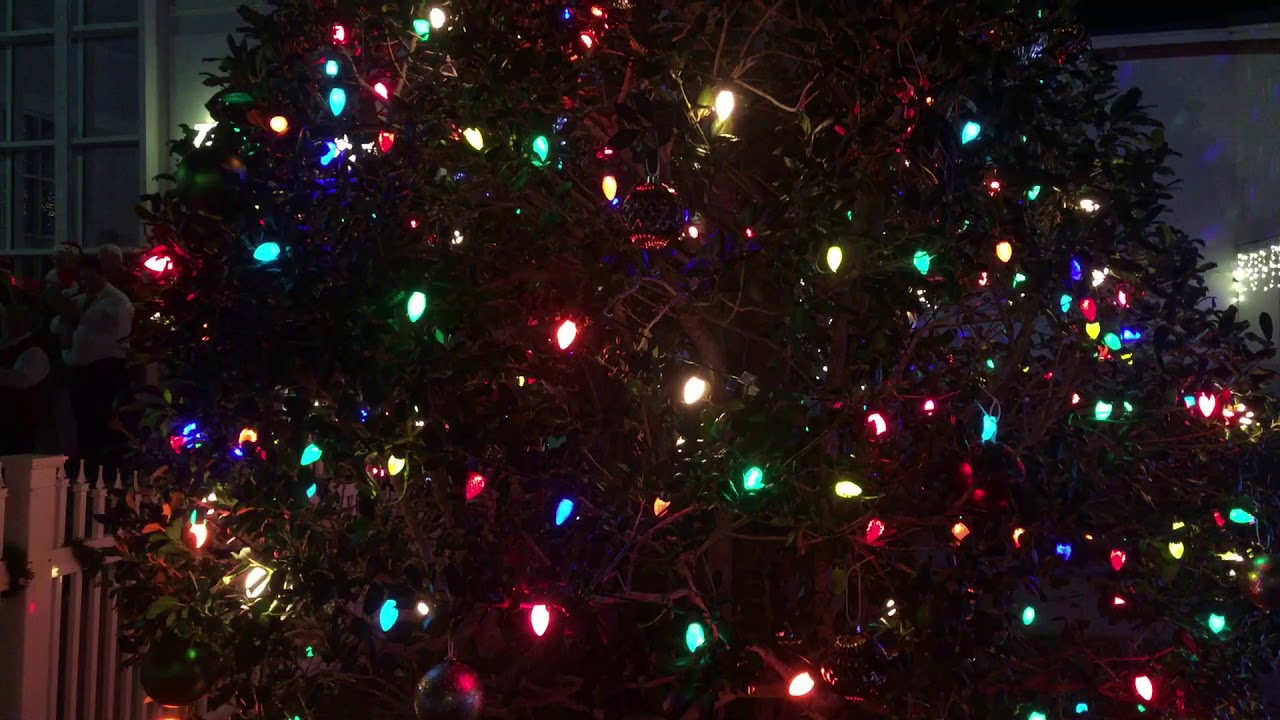 newspaper Destin tree lighting.