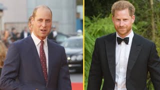 Prince Harry’s book details physical altercation with Prince William